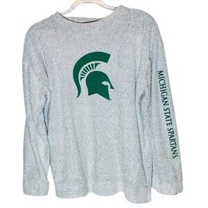 Michigan State Spartans Pressbox Gray Heather Terry Raglan Oversized Shirt Top